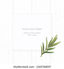 Flat lay top view elegant white composition paper tarragon leaf on wooden background.