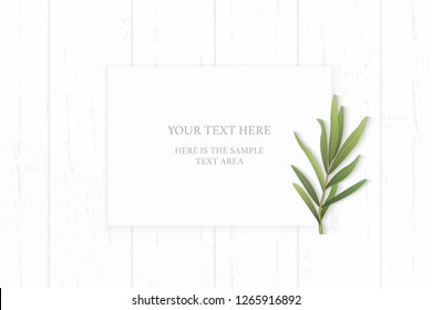 Flat lay top view elegant white composition paper tarragon leaf on wooden background.