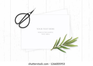 Flat lay top view elegant white composition paper plant tarragon leaf and vintage metal scissors on wooden background.