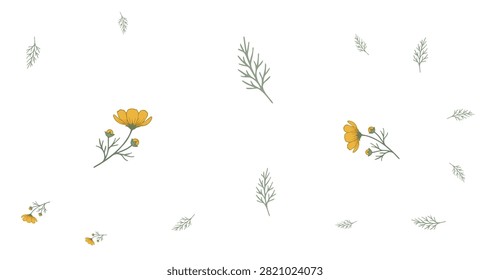 Flat lay of yellow buttercup flowers and green slender leaves scattered on a white background with minimalistic natural composition