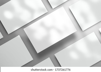 Flat layout with rows of white blank cards close-up. The central card is elevated above the colored surface. Light from the window passes through the foliage