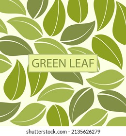 Flat of leaf pattern set. Flat style leaf pattern plant isolated in the solid background.