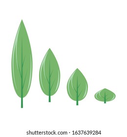flat leaf for template or decoration and others.