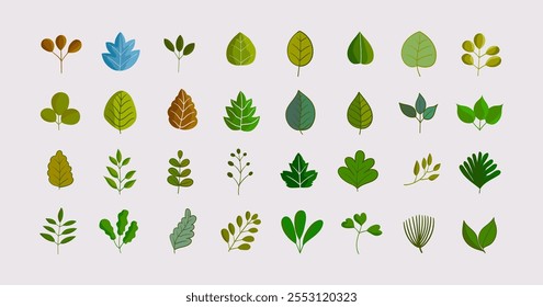 Flat leaves, bush trees, grass, wild plants hand drawing vector illustration. Foret, meadow, park and garden element nature set.