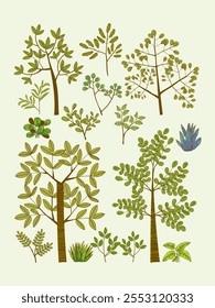 Flat leaves, bush trees, grass, wild plants hand drawing vector illustration. Foret, meadow, park and garden element nature set.