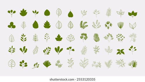 Flat leaves, bush trees, grass, wild plants hand drawing vector illustration. Foret, meadow, park and garden element nature set.