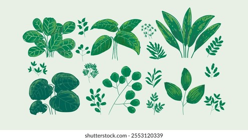 Flat leaves, bush trees, grass, wild plants hand drawing vector illustration. Foret, meadow, park and garden element nature set.