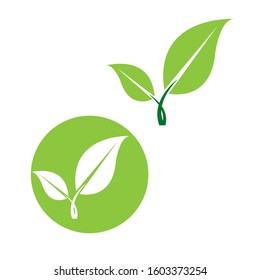 Flat Leaves Icons Logo Vector 