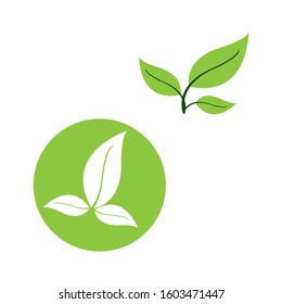 Flat Leaves Icons Logo Vector Illustration