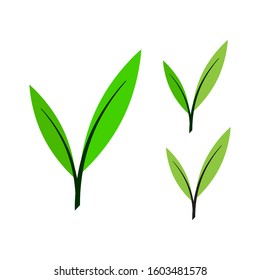 Flat Leaves Icons Logo Vector Illustration