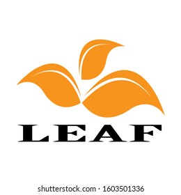 Flat Leaves Icons Vector Illustration