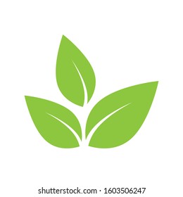 Flat Leaves Icons Vector Illustration