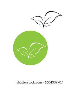 Flat Leaves Icons Vector Illustration