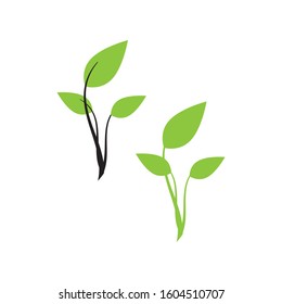 Flat Leaves Icons Vector Illustration