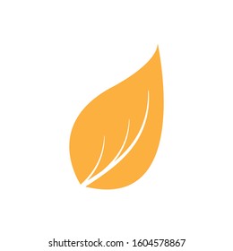 Flat Leaves Icons Vector Illustration