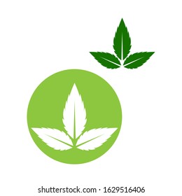 Flat Leaves Icons Vector Illustration