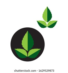 Flat Leaves Icons Vector Illustration