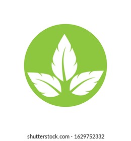 Flat Leaves Icons Vector Illustration