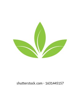 Flat Leaves Icons Vector Illustration