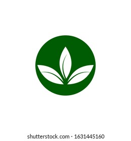 Flat Leaves Icons Vector Illustration
