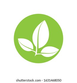 Flat Leaves Icons Vector Illustration