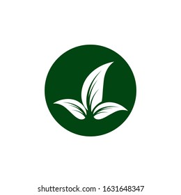Flat Leaves Icons Vector Illustration