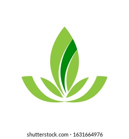 Flat Leaves Icons Vector Illustration