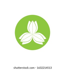 Flat Leaves Icons Vector Illustration
