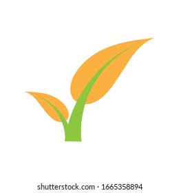 Flat Leaves Icons Vector Illustration
