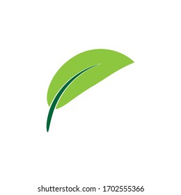 Flat Leaves Icons Vector Illustration