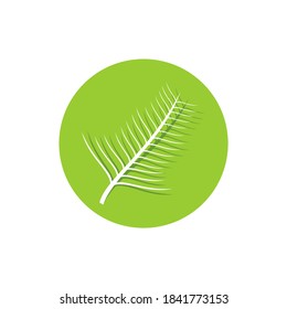 Flat leaves icons. Vector illustration. With shadows