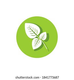 Iconos de hojas planas. Ilustración vectorial. Con sombras