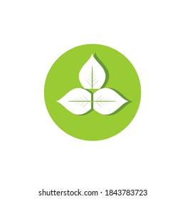 Flat leaves icons. Vector illustration. With shadows