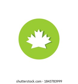 Flat leaves icons. Vector illustration. With shadows