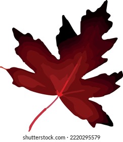 Flat leaves icons. Vector illustration.