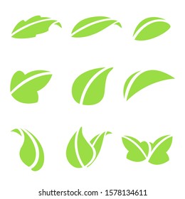 Flat leaves set in minimalistic style on white background. Isolated floral vector illustration.
