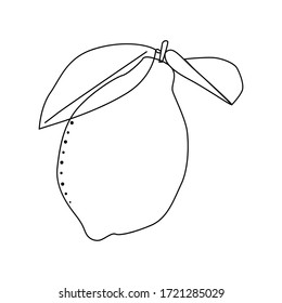 Flat lemon seamless background vector illustration. Exotic fruits. Pattern for healthy lifestyle design. Scandinavian style. Vegetarian summer backdrop. Kitchen art. Fresh poster.