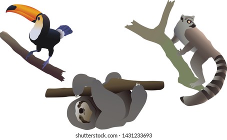 Flat lemur toucan sloth tropic with gradient elements for wallpaper design. Baby print. Zoo, fauna.  Vector illustration for any purposes