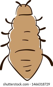 Flat lice, illustration, vector on white background.