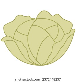 Flat line cabbage. Vector element with vegetarian theme. Illustration.