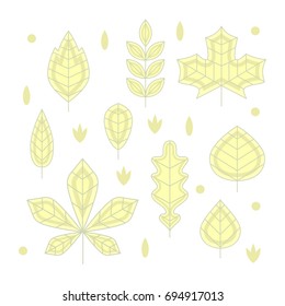 Flat line design autumn leaves. Set of minimalistic vector differently shaped linear leaves. Maple, oak, birch, chestnut