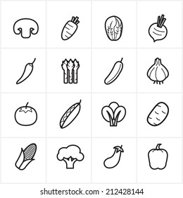 Flat Line Icons Vegetables Icons Vector Illustration