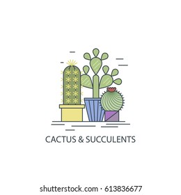 Flat line illustration of vector succulent plants and cactuses. Logo element design. Business identity for flower shop. Mexican cacti collection. Nature floral symbol set