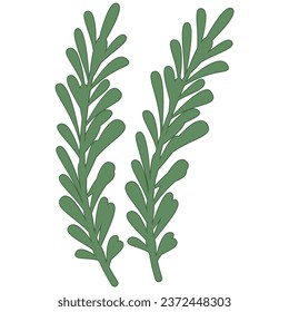 Flat line rosemary. Vector element with vegetarian theme. Illustration.