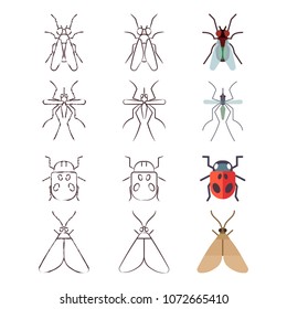 Flat, line and skech icons of insects set. Vector illustration