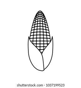 flat line uncolored corn over white background  vector illustration