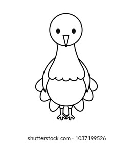 flat line  uncolored turkey  thanksgiving   over white background  vector illustration