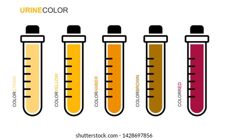 Flat linear design. Medical test tube icon. Tubes with yellow, amber, brown, red colors urinary samples, test, analysis. Vector.