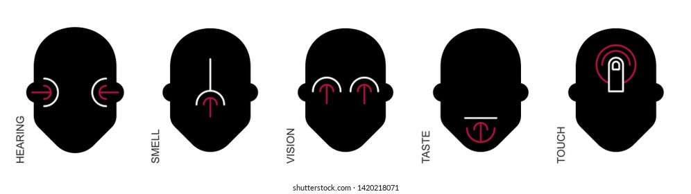 Flat linear design. Symbols of the five senses. Vector. Conceptual. Hearing, taste, vision, smell, touch.