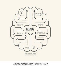 Flat Linear Infographic Education Outline Brain Concept.Vector Illustration.